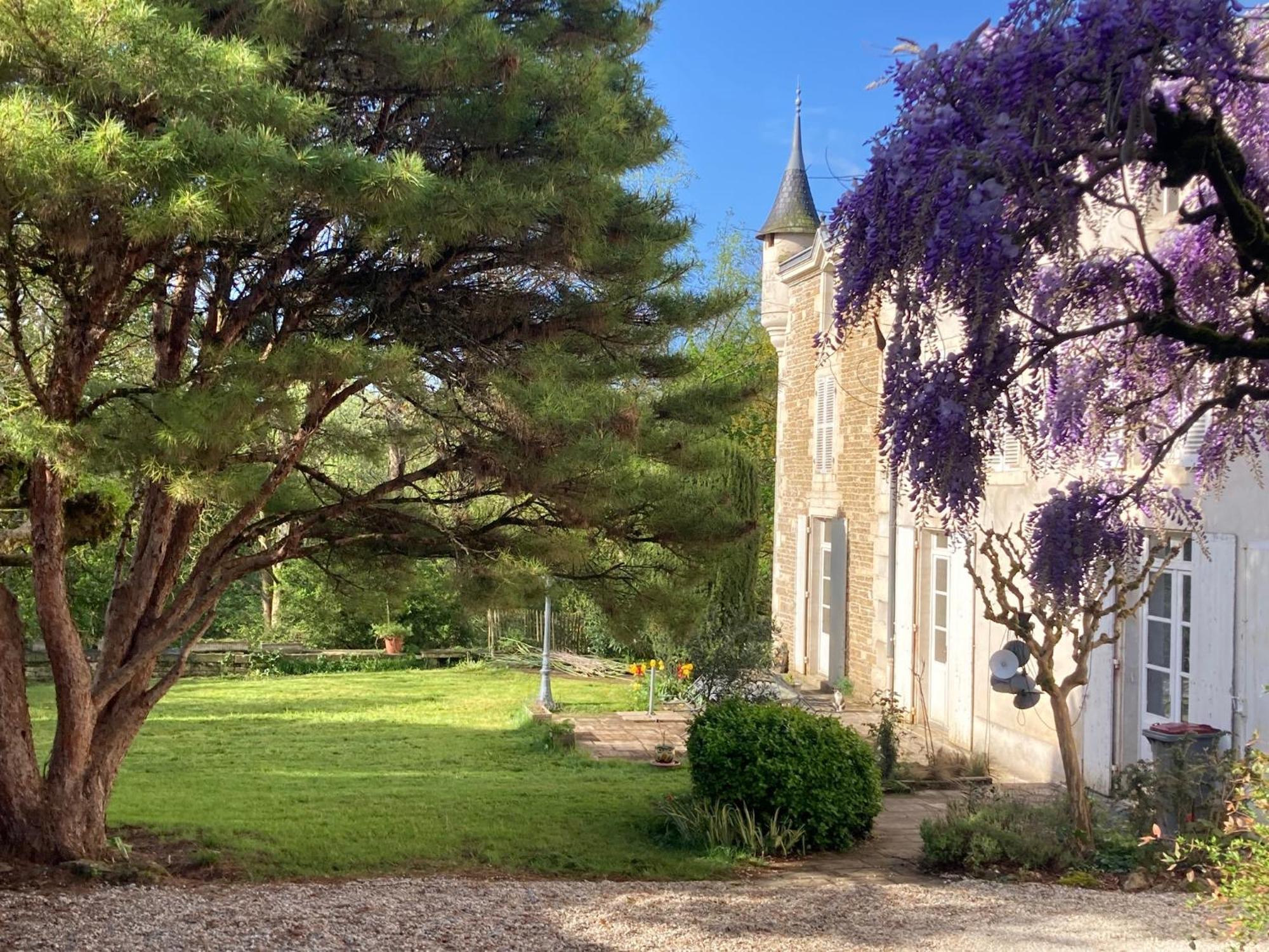 Mazette! Le Chateau * Niort